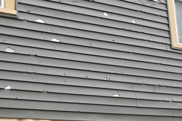 Affordable siding repair and maintenance services in Sycamore, IL